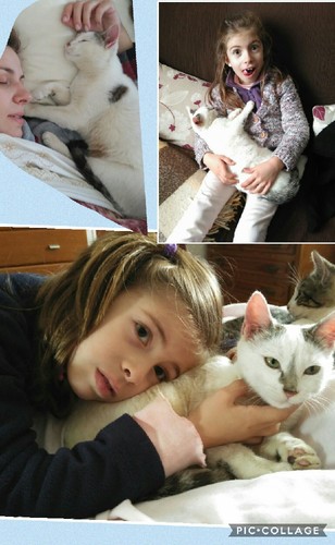 Collage 2017-03-30 20_22_42.jpg