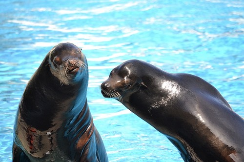 IMG_9526.PNG IMG_9526.PNG