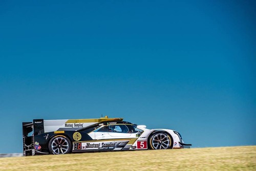 18403642_726972954148635_3623585765565185421_n.jpg 18403642_726972954148635_3623585765565185421_n.jpg