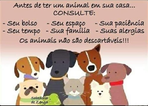 14034762_900142366783427_4254702284489258537_n.jpg 14034762_900142366783427_4254702284489258537_n.jpg