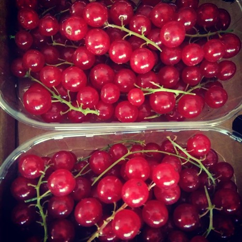 13606647_730313157108448_1069572080786248635_n.jpg 13606647_730313157108448_1069572080786248635_n.jpg