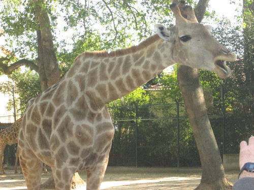 IMG_2495.JPG IMG_2495.JPG