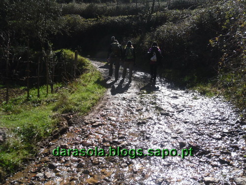 Penacova_35.JPG Penacova_35.JPG