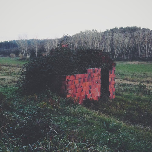 2015-01-10 05.29.58 2.jpg