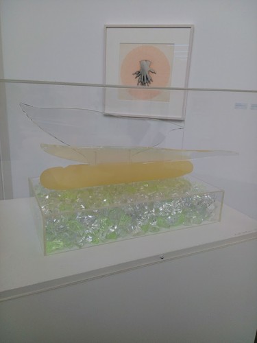 IMG_20160424_134217.jpg IMG_20160424_134217.jpg