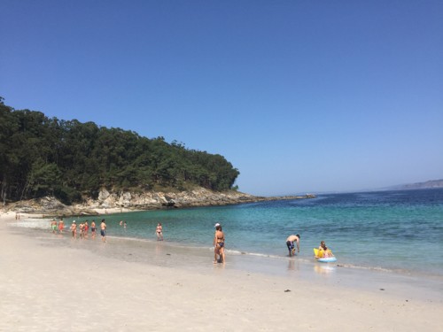 IMG_7167.JPG IMG_7167.JPG