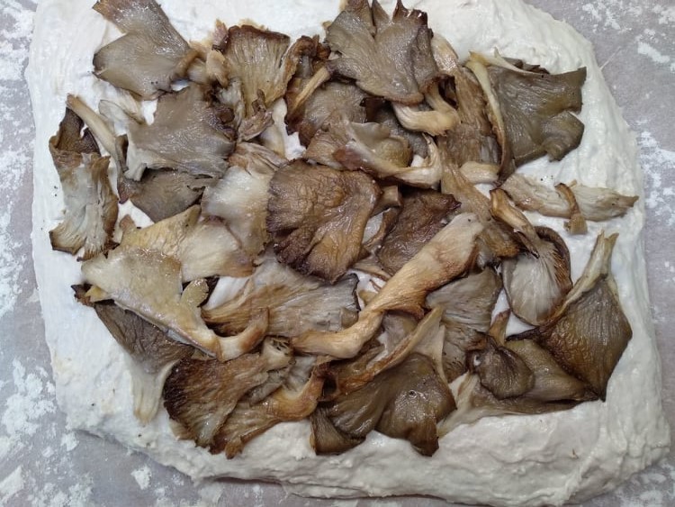 241825165_852498812294359_5794996035756461153_n.jp