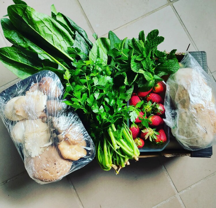 341299043_247871127700514_1659767195498123563_n.jp