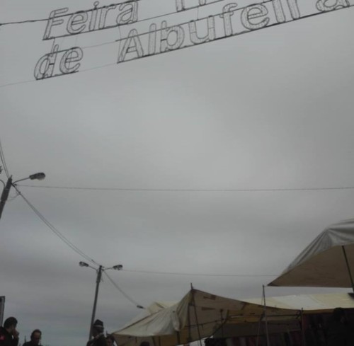 46972997_2131930026871843_6637551482688241664_n.jp