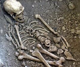 evolução humana.jpg