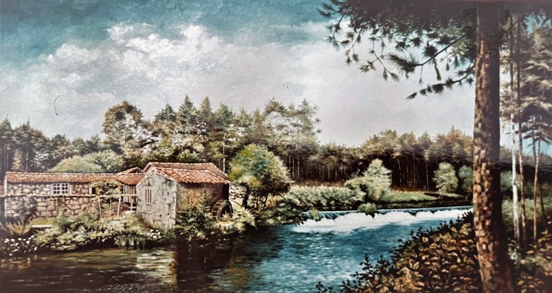 rioneivamoinh (1).jpg