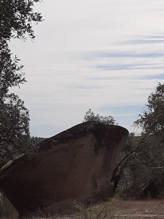 Rocha Cogumelo à sombra. Foto original. 2021.10.09.jpg