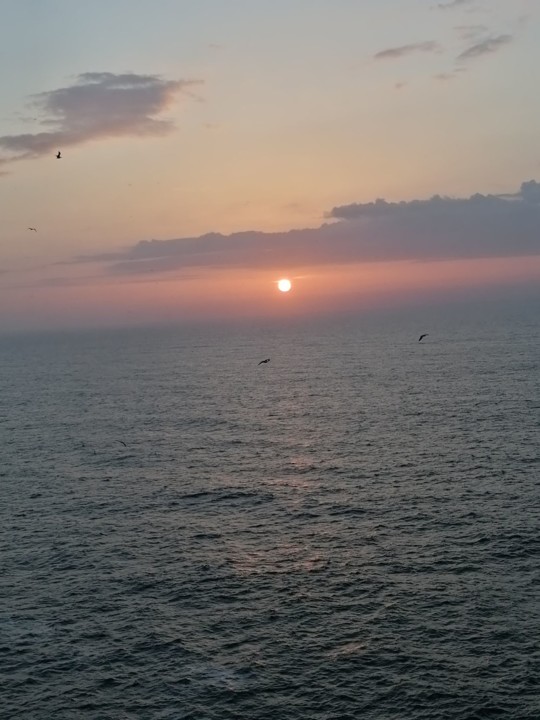 161886459_742537446404183_2177837683782181173_n.jp