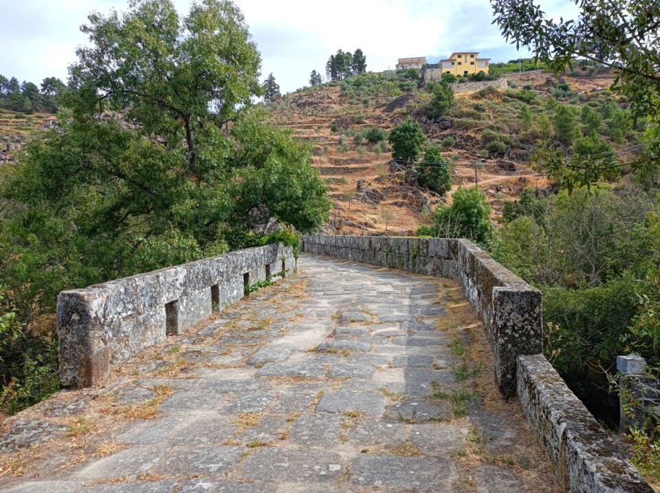 540325602_4057277107873166_537802763216253204_n.jp