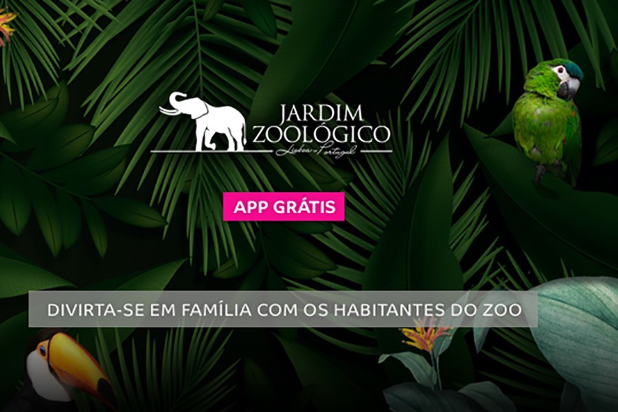 MEO integra experiências do Jardim Zoológico no ecrã de televisão