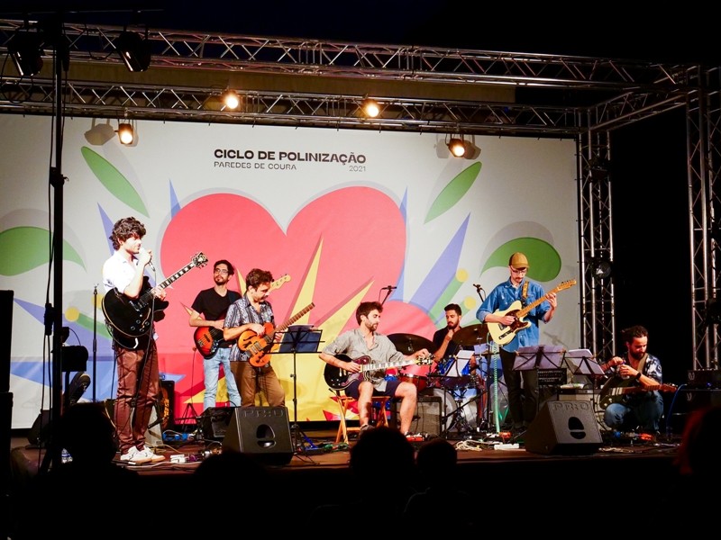 Ciclo de Polinização de Paredes de Coura_Concert