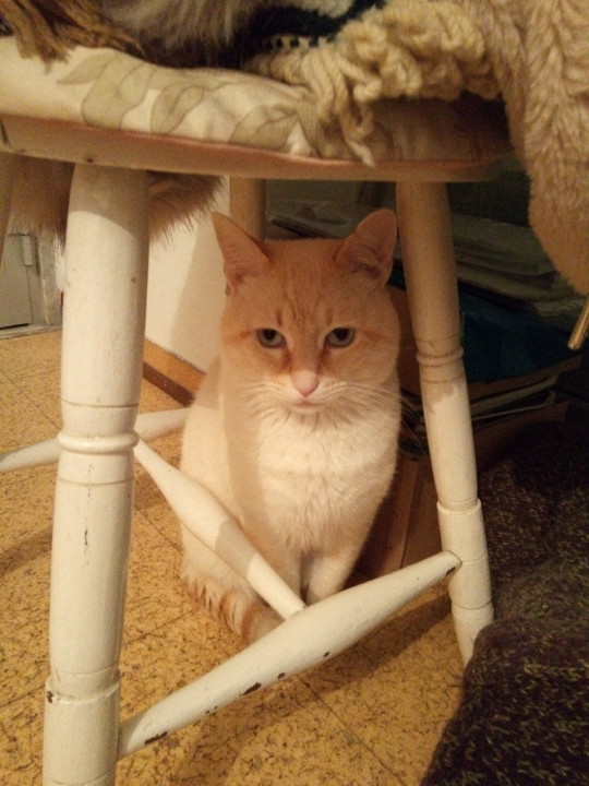 IMG_20190208_184605.jpg IMG_20190208_184605.jpg