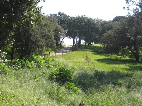 12039643_10206077271429418_4986392909390841548_n.j