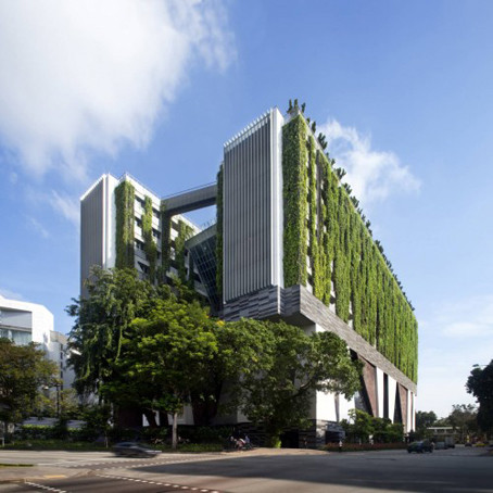 projeto-de-arquitetura-usa-jardim-vertical-em-esco