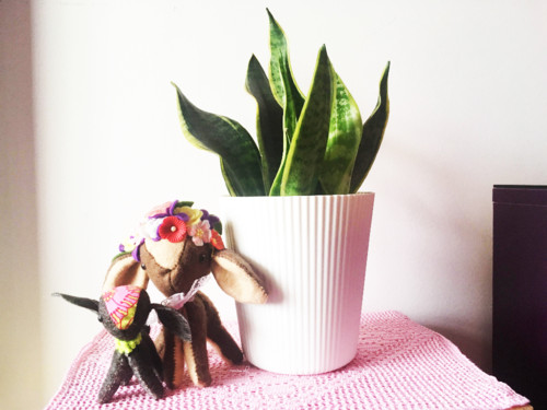 27265899_1922012088112190_1196626653_o copy.jpg 27265899_1922012088112190_1196626653_o copy.jpg