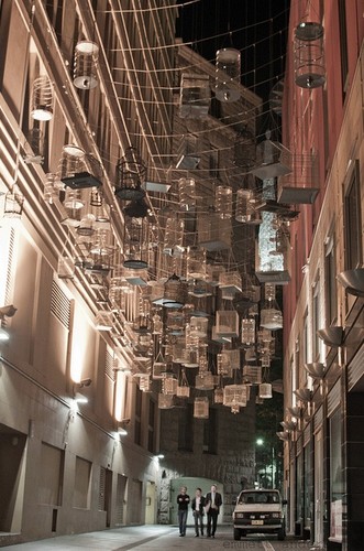 canopy2.jpg canopy2.jpg