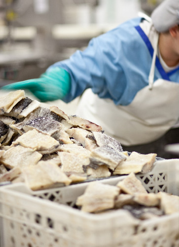 IMG_1111-Editalt 3.jpg