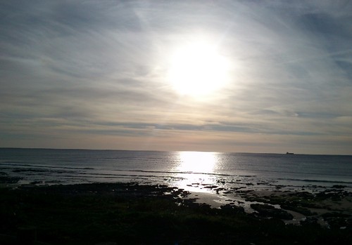 DSC_0127.jpg DSC_0127.jpg