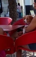 IMG_20180818_103806.jpg IMG_20180818_103806.jpg