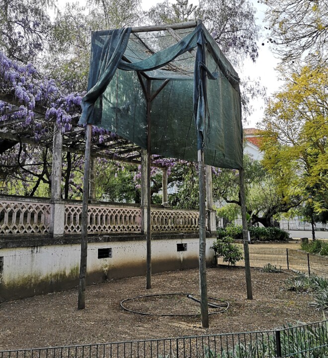 Espaço degradado jardim público.jpg