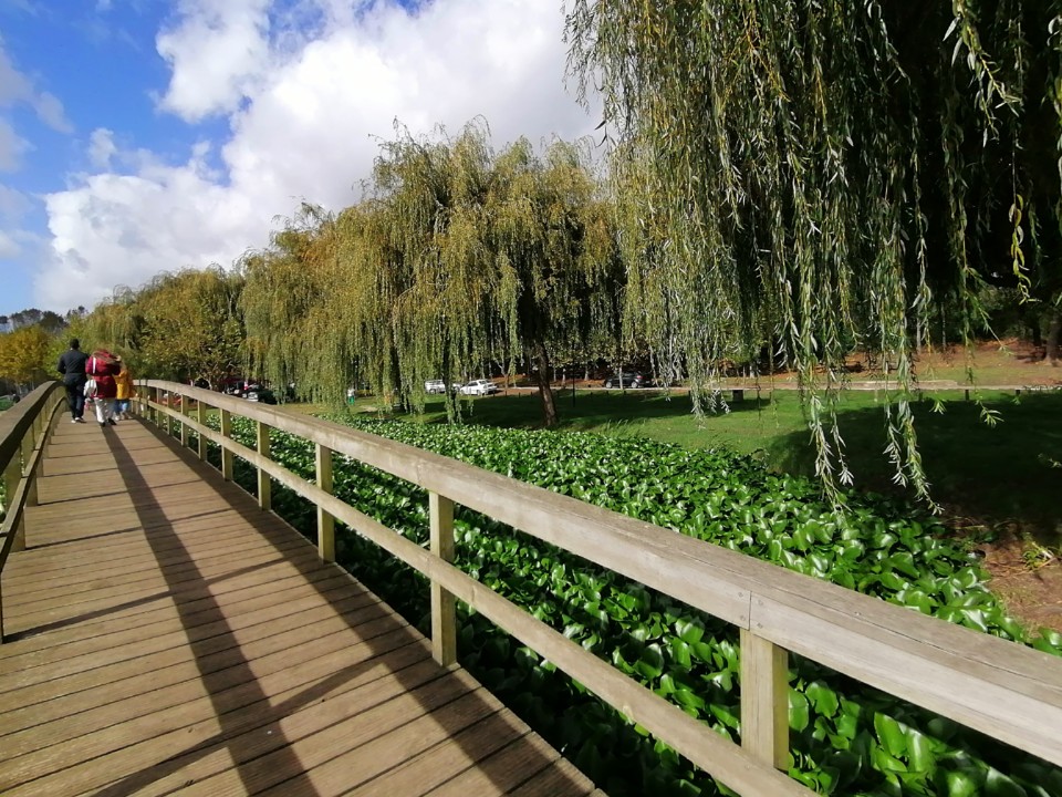 IMG_20201004_161130.jpg IMG_20201004_161130.jpg