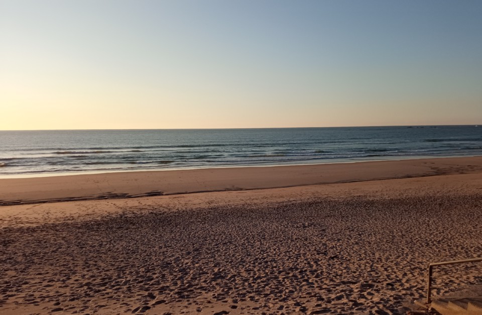 IMG_20210106_164647.jpg IMG_20210106_164647.jpg