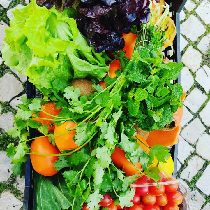 130064213_1892394287566990_6642177451516067233_o.j