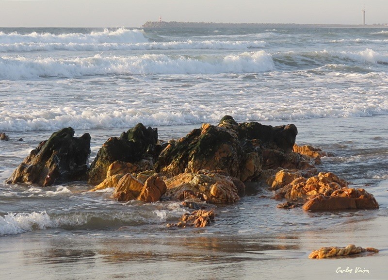 127664551_10225202118586585_8486135473738484579_n.