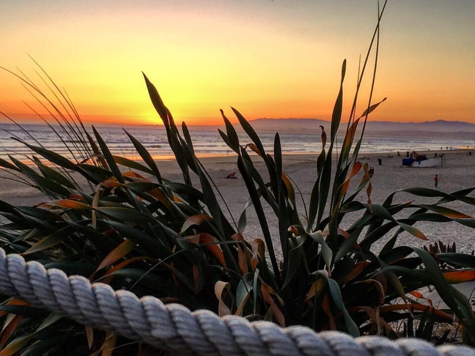 34757385_1604159926320335_8706030199415767040_n.jp