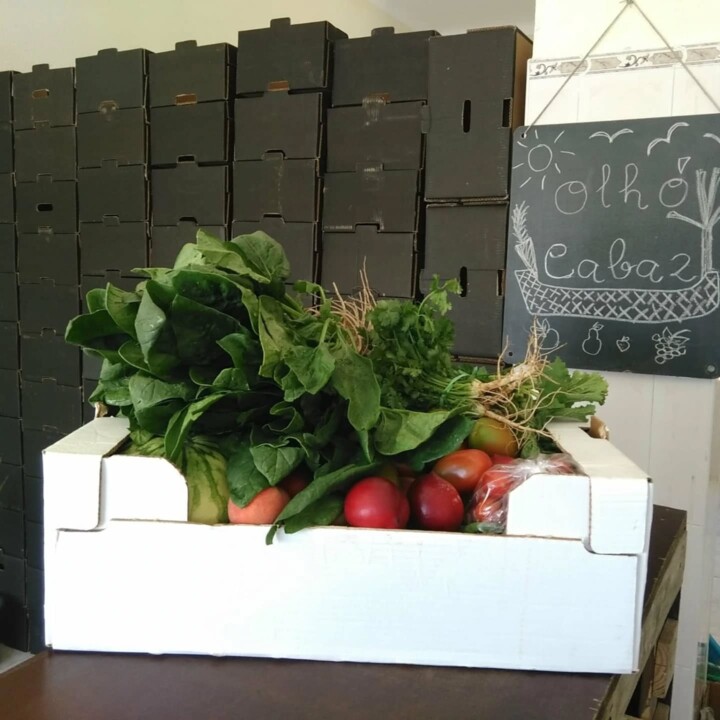 515252987_18486886228066958_6502820909348370652_n.