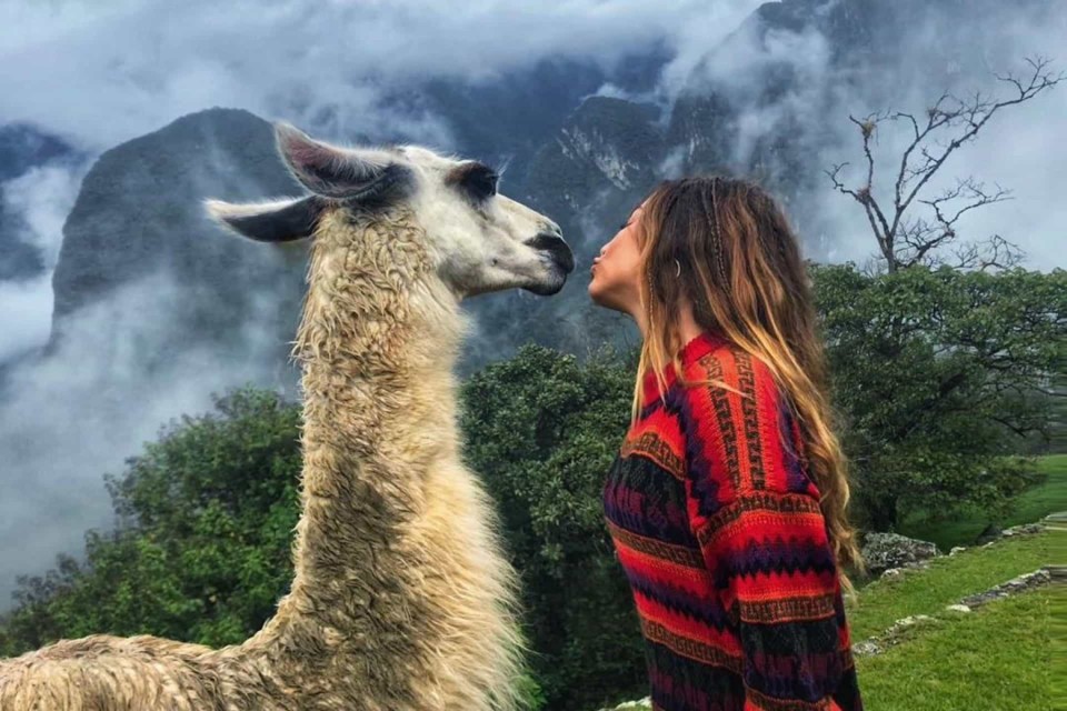 naom_5beac0ecbea33.jpg naom_5beac0ecbea33.jpg