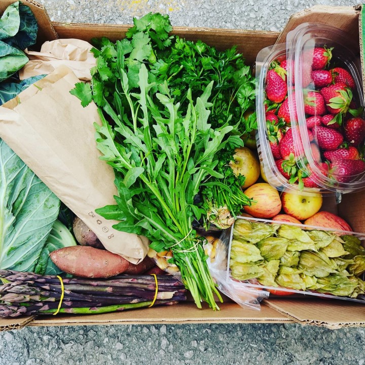 168070241_1988842767922141_6186654576776472395_n.j