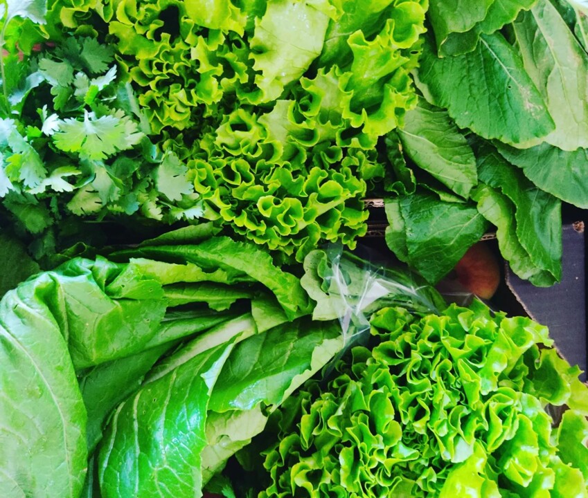 357808717_653220993501981_2997278464931827462_n.jp