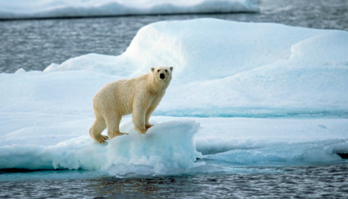 alterações climáticas.jpg alterações climáticas.jpg