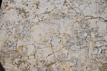 fb_mDS80hzTt0WZrneW7Kc5