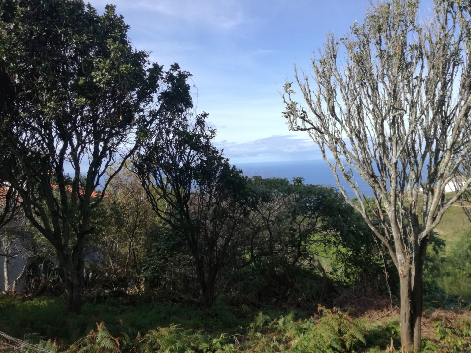 IMG_20191120_152102.jpg IMG_20191120_152102.jpg