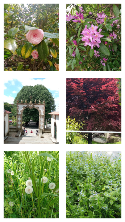 photogrid.collagemaker.photocollage.squarefit_2023