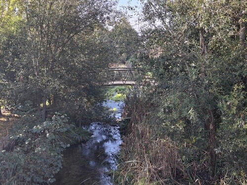 02a_Vale_de_Cambra (16).jpg