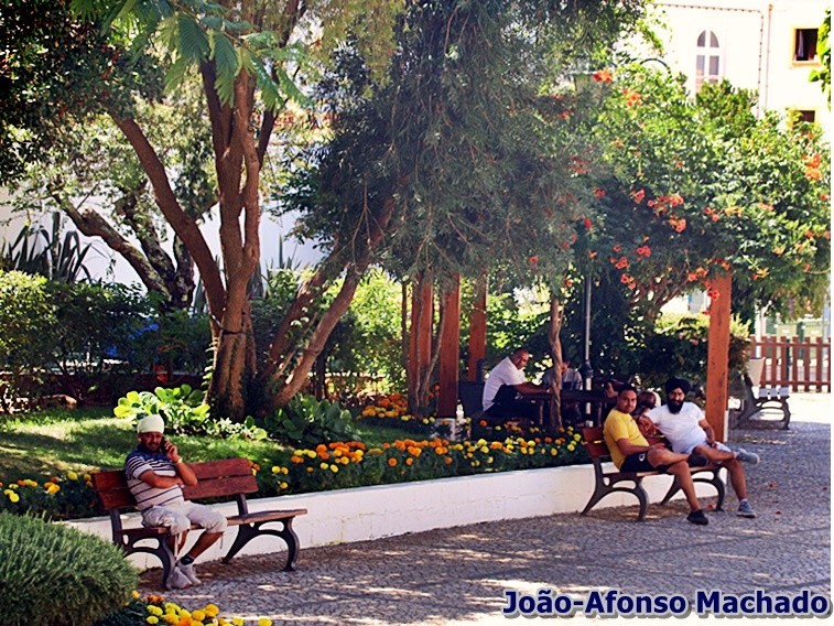 JARDIM COM ORIENTAIS.JPG