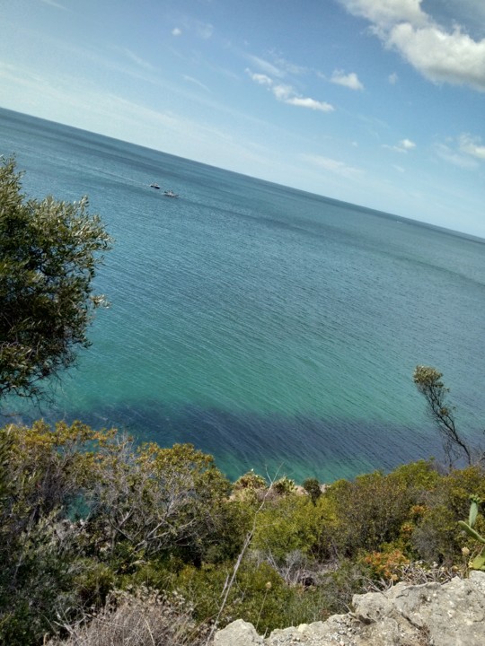 IMG_20190811_110629.jpg IMG_20190811_110629.jpg