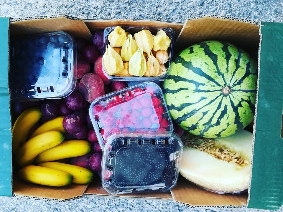 65993048_1408355692637521_1303309423699034112_n.jp