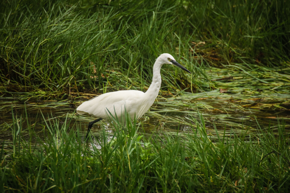 jardim rio da costa 3.jpg