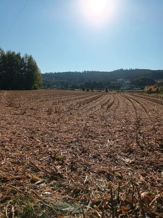 Não me canso disto mosteiro8.jpg