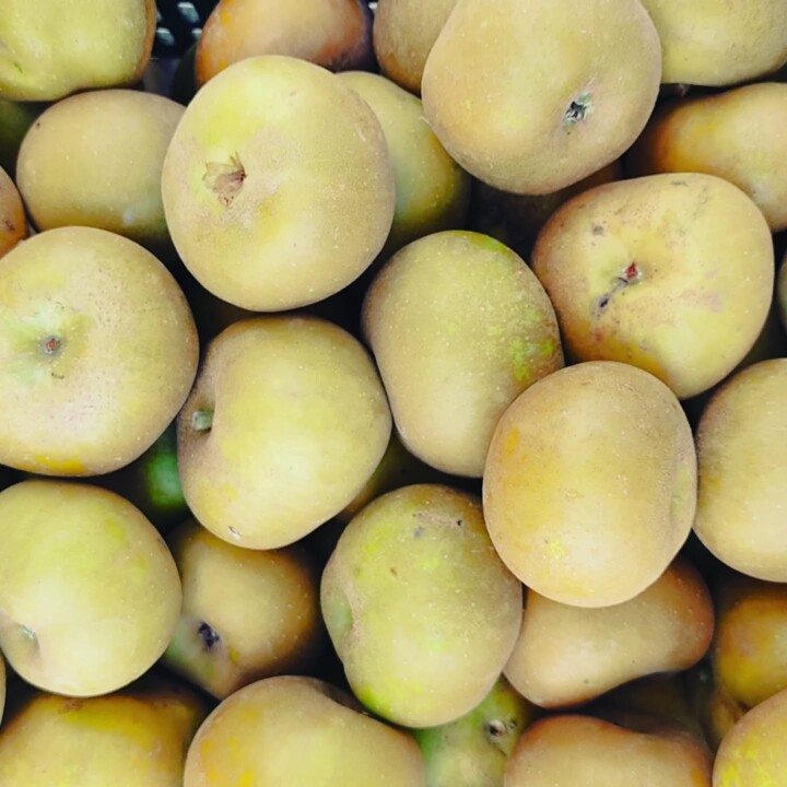 563049122_18504211543066958_167958349373008467_n.j