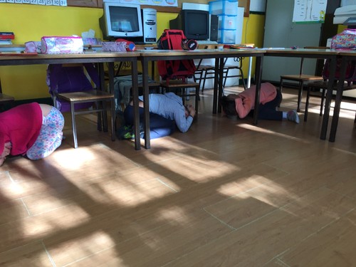 IMG_8013.JPG IMG_8013.JPG